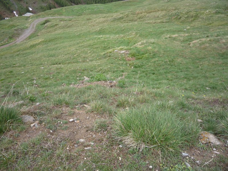 P1050935.JPG