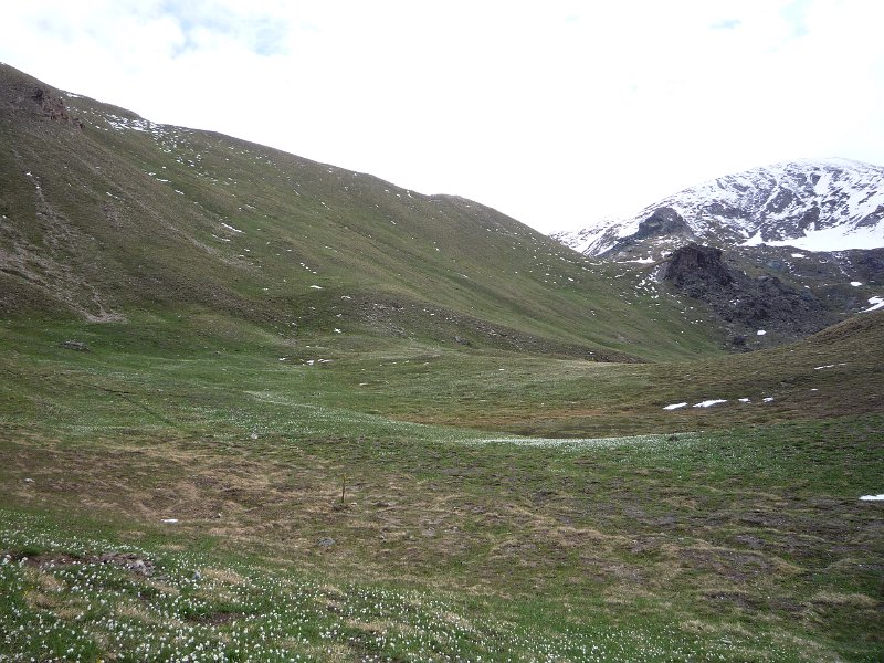 P1050945.JPG